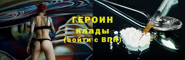 гидра Вяземский
