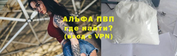гидра Вяземский