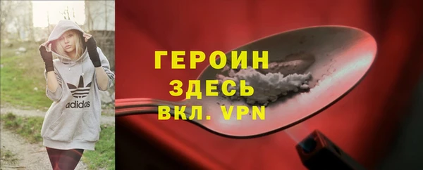 гидра Вяземский