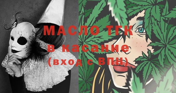 гидра Вяземский