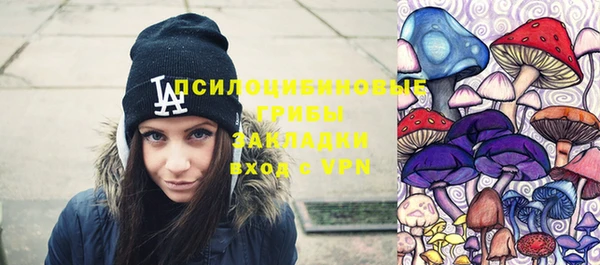 прущий лед Вязьма