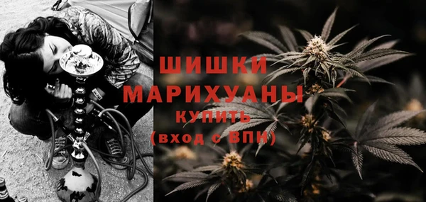прущий лед Вязьма