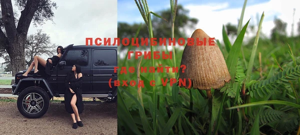 прущий лед Вязьма