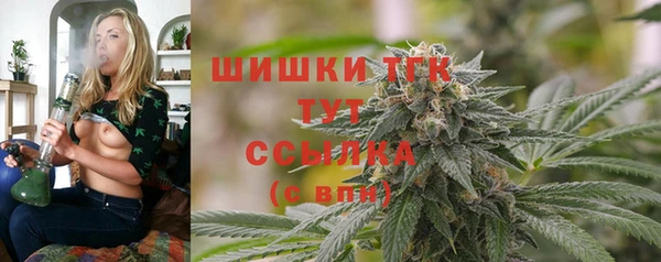 прущий лед Вязьма