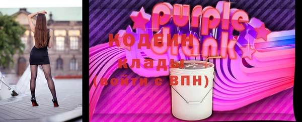 гидра Вяземский