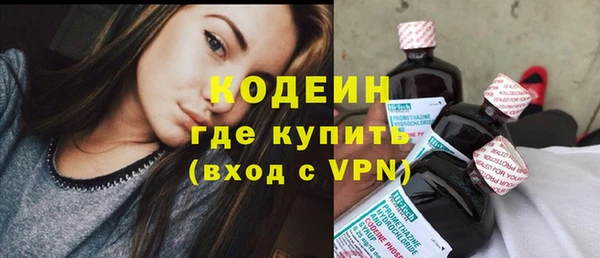 гидра Вяземский