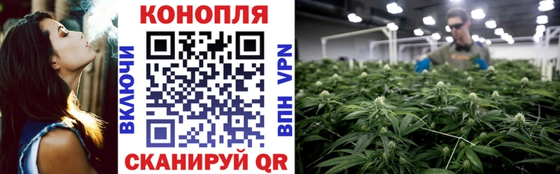 гидра как войти  закладка  Петров Вал  Шишки марихуана гибрид 